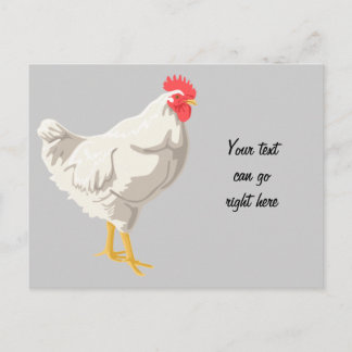 Postal Pollo blanco