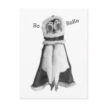 Pollo de goma Santa Postcard