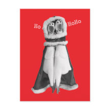 Pollo de goma Santa Postcard