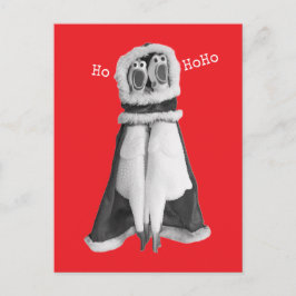Postal Pollo de goma Santa Postcard