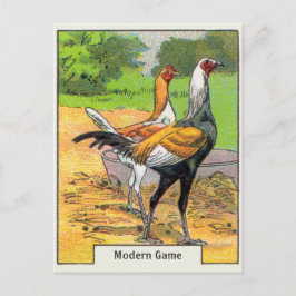 Postal Pollo de juego moderno vintage