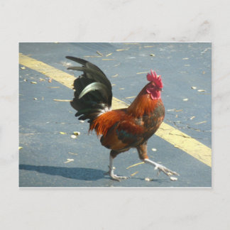 Postal Pollo de Key West