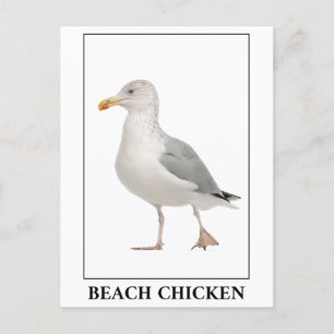 Postal Pollo de playa - Humor de gaviota de gaviota de ga