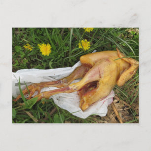 Postal Pollo descartado