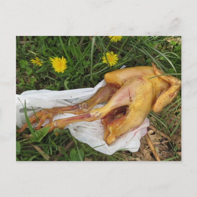 Postal Pollo descartado (Anverso)