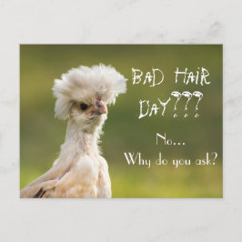Postal Pollo Día del Pelo Malo