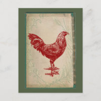Pollo elegante lamentable del Grunge del gallo