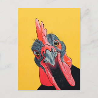 Postal Pollo enojado en amarillo