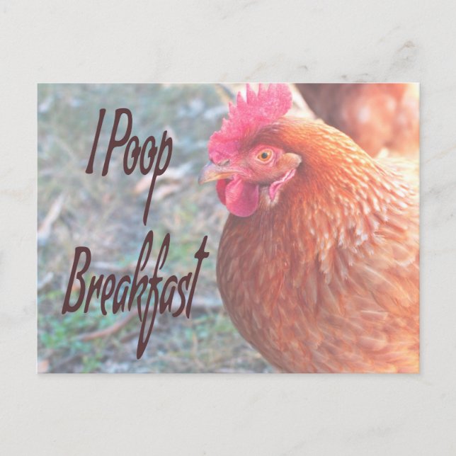Postal Pollo I poop Breakfast Humor divertido (Anverso)