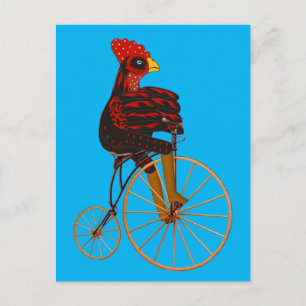Postal Pollo Rooster En Bicicleta Vintage