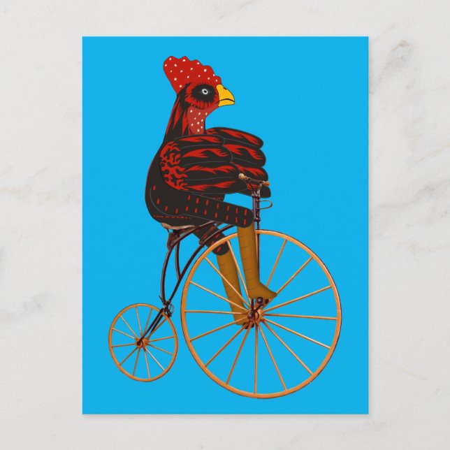 Postal Pollo Rooster En Bicicleta Vintage (Anverso)