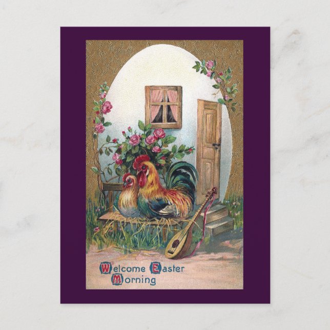 Postal Pollos con leche y huevo (Anverso)