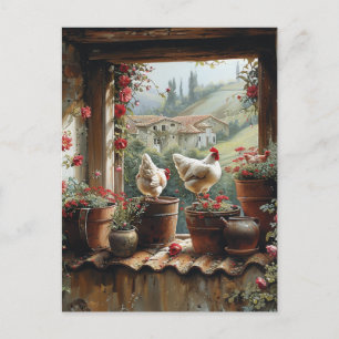 Postal Pollos Cubo Oxidado Macetas de Arcilla Tejas Campo