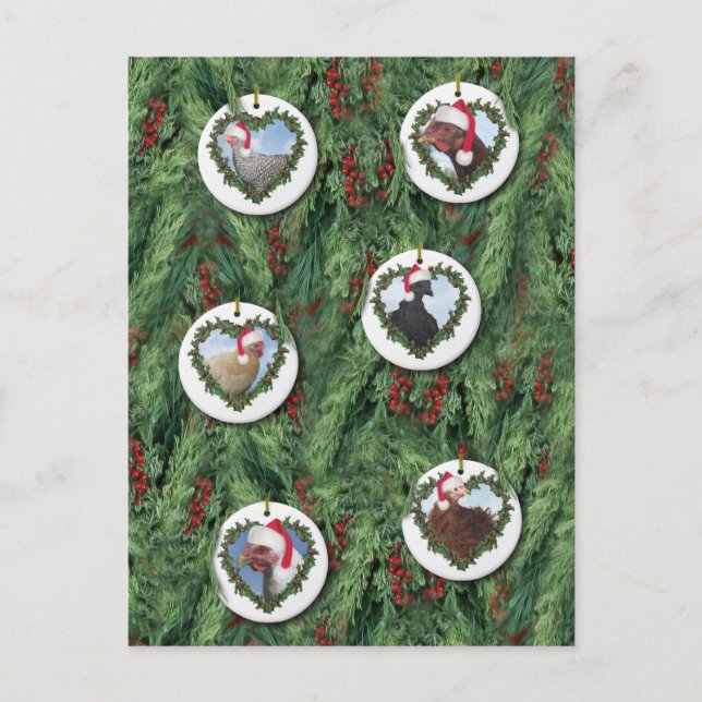 Postal Pollos de Navidad (Anverso)