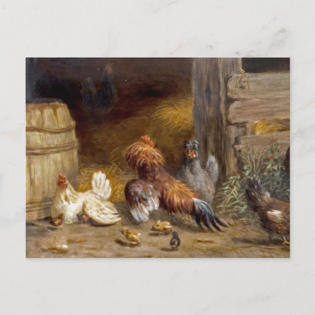 Postal Pollos en la cooperativa por Carl Jutz (Anverso)