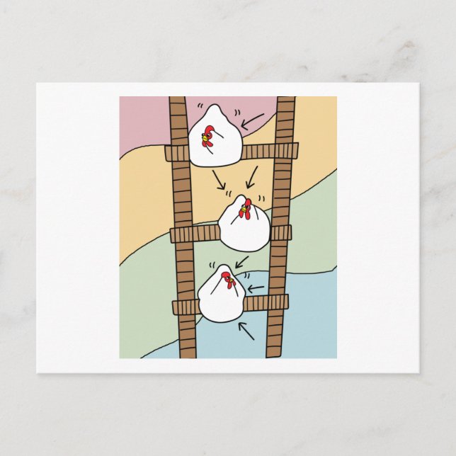 Postal Pollos locos Pollos divertidos (Anverso)