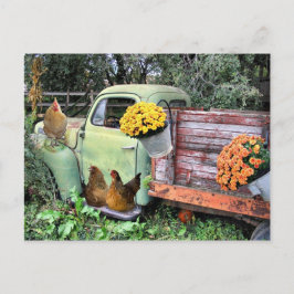 Postal Pollos y camionetas antiguas