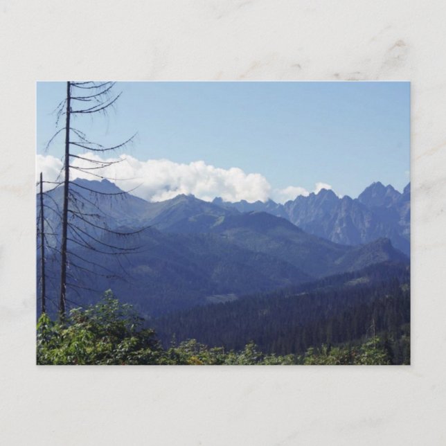 POSTAL POLONIA (Anverso)