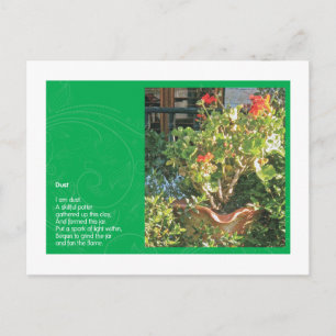 Postal Polvo