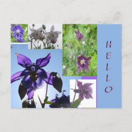 Postal Polvo Collage Aquilegia. Postcarta de texto y BG H