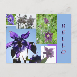 Postal Polvo Collage Aquilegia. Postcarta de texto y BG H