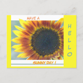 Postal Polvo de girasol Naranja amarillo. HELLO Postcard