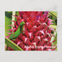 Polvo de oro lindo día gecko piña rosa Hawaii