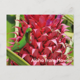 Postal Polvo de oro lindo día gecko piña rosa Hawaii