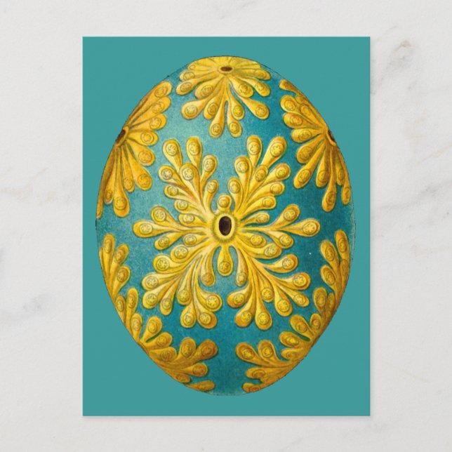 Postal Polyclinum constellatum, Ernst Haeckel Vintage (Anverso)