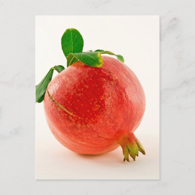 Postal Pomegranato (Anverso)