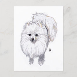 Postal pomerania 2019