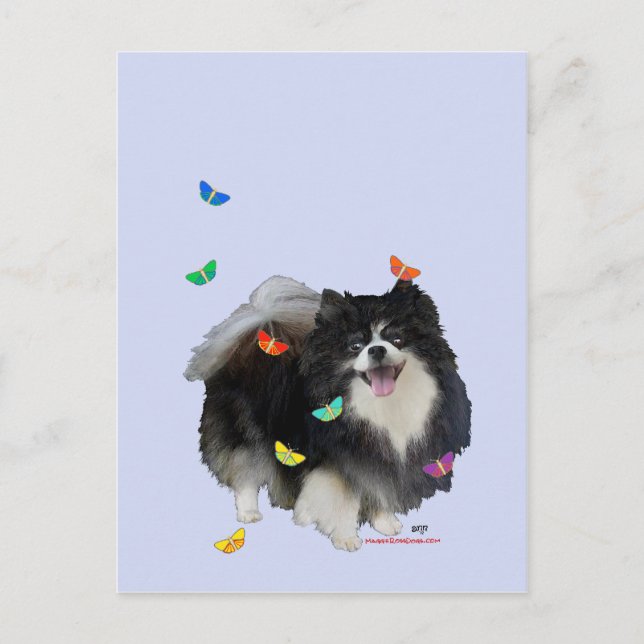 Postal Pomerania con Mariposas (Anverso)