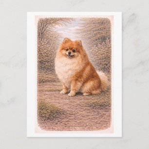 Postal Pomerania de estilo vintage