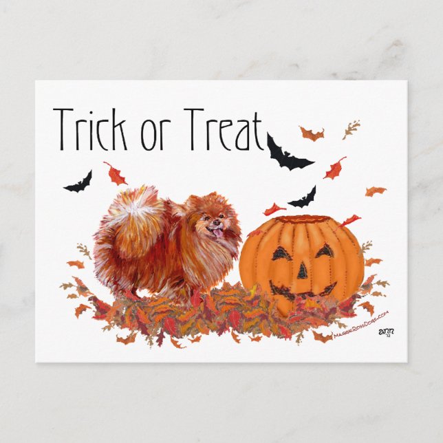 Postal Pomerania de Halloween (Anverso)