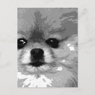Postal Pomerania en blanco y negro