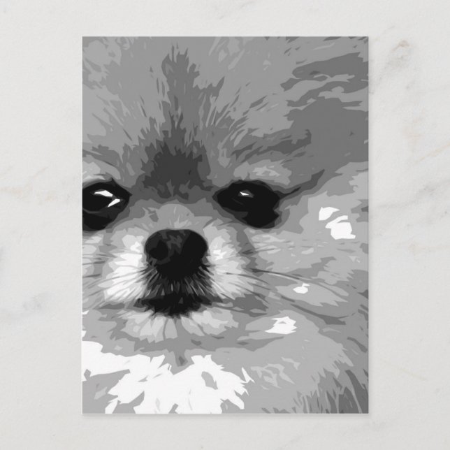 Postal Pomerania en blanco y negro (Anverso)