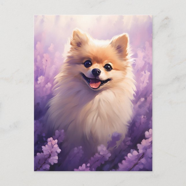 Postal Pomerania en el campo Lavender (Anverso)