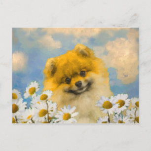 Postal Pomerania en pintura de Daisies - Arte de perro or