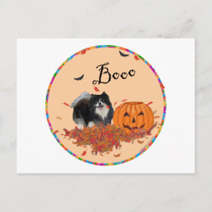 Postal Pomerania negra Halloween