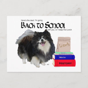 Postal Pomerania Negra Regreso a Clases
