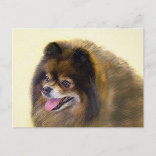 Postal Pomerania Negra y Tan Pintura Original de Perro