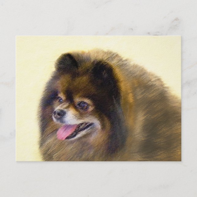 Postal Pomerania Negra y Tan Pintura Original de Perro (Anverso)