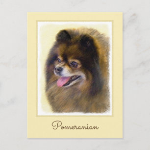 Postal Pomerania Negra y Tan Pintura Original de Perro