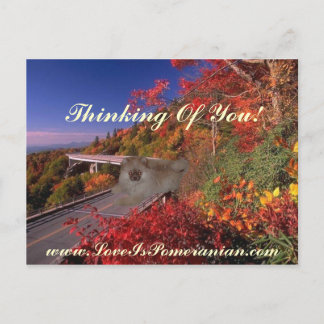Postal Pomerania Nombrada Zeus Colorful Autumn Scene