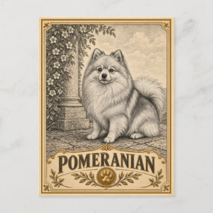 Postal Pomerania, perro vintage de herencia