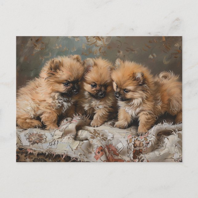 Postal Pomerania Trio Vintage (Anverso)