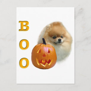 Postal Pomeranian Boo