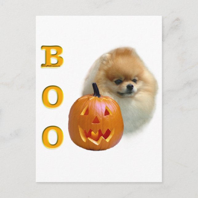 Postal Pomeranian Boo (Anverso)