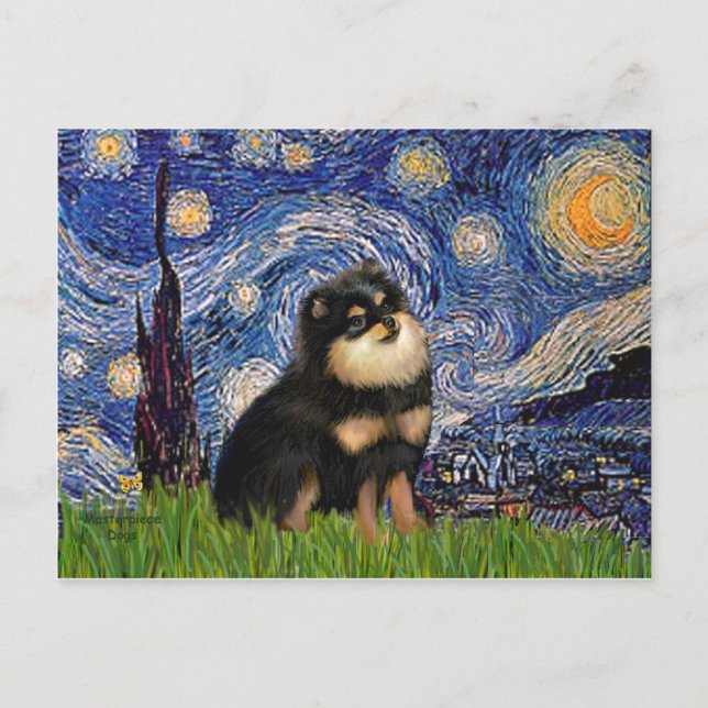Postal Pomeranian (BT) - Noche estrellada (Anverso)