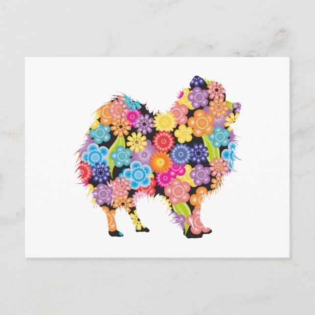 Postal Pomerano (Anverso)